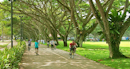 Parks of Singapore