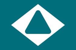 Triangulate Puzzle